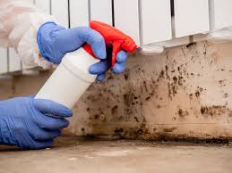 Why You Should Choose Our Mold Remediation Services in Vernon Hills, IL